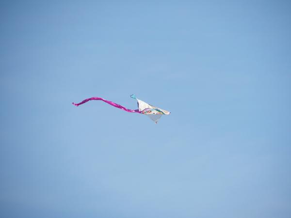 Dragon kite