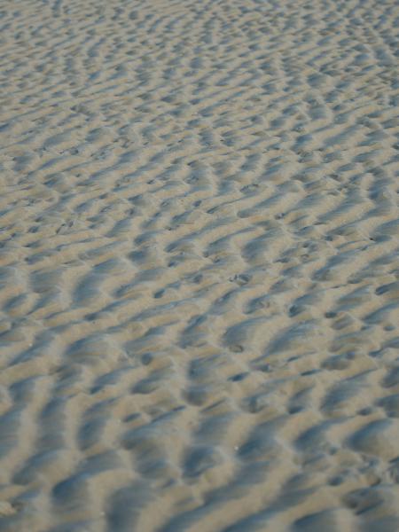 Sand sand texture
