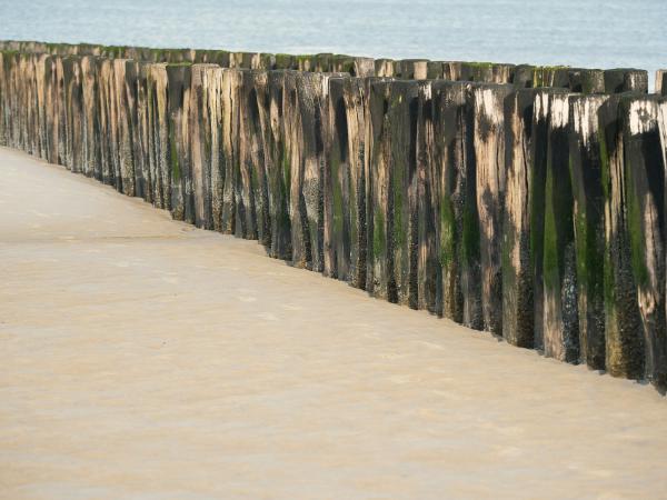 Wooden posts line a sandy beach with the ocean beyond
