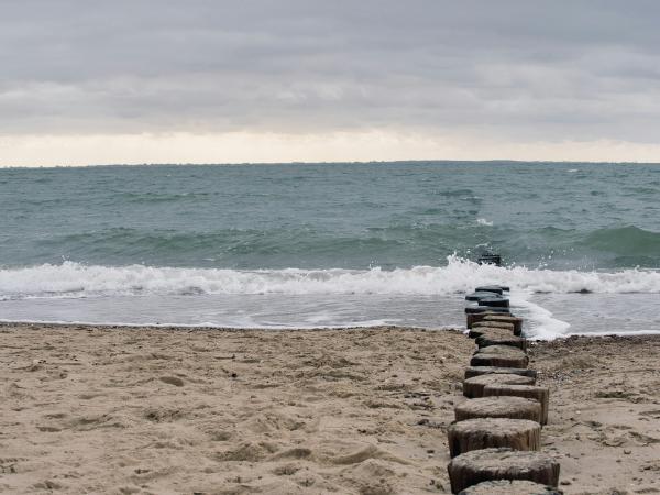 Wooden posts on a sandy beach with ocean waves
