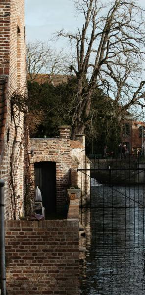 Brick building by a canal with bare trees overhead
