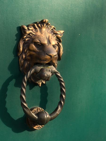 Door door knocker