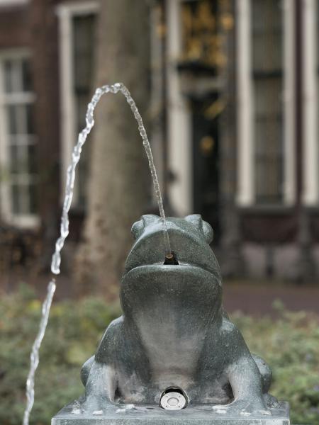 Frog statue spouting water in a garden